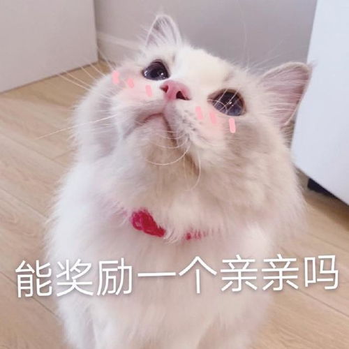 幽默笑话我爸要不是找整个部门同事来作证,恐怕活不到第三天