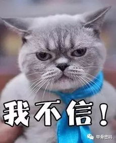 世界上最古老的表情包只有智商极高的人才能看得明白