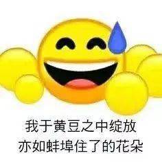 一星都是白给,再摆烂就退圈吧