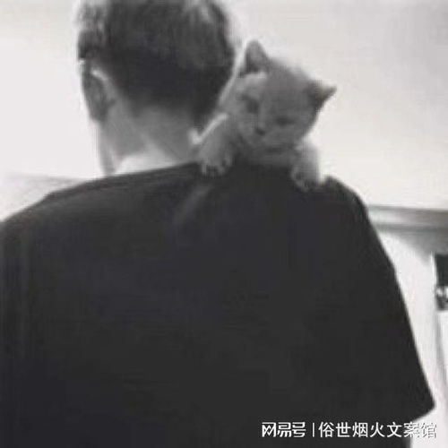 哭红了眼一定要记得长大