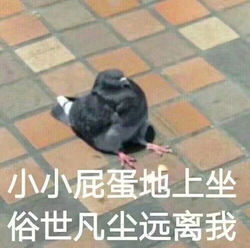 ,