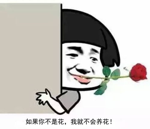 暴走表情,戳心文案,拿走不谢