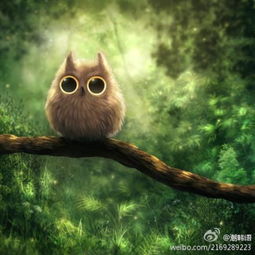 这个动漫猫头鹰是哪个作家的杰作