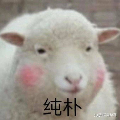 你用过最能表达心情的表情包是什么