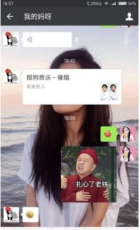 开心一刻妈妈,为什么窗户上要装上玻璃