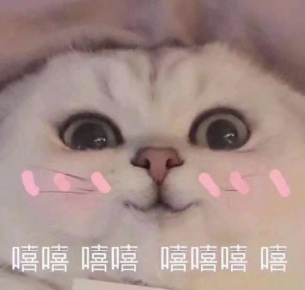 表情包搞笑视频嘻嘻