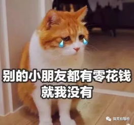 如何优雅的讨要生活费