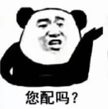 熊猫头配钥匙表情包大全您配吗