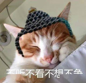 潮汕牛肉分布图啊不它是只猫第96期喵表情