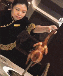 搞笑gif趣图人生莫过于此这是一只参透人生的汪