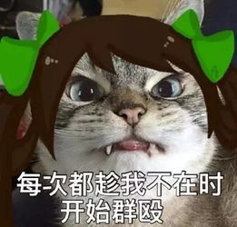 斗图我不能输表情包助你怼上天