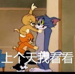 猫和老鼠套图头像壁纸表情包背景图