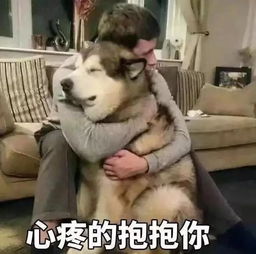 这么多年终于有个像样对手,日本18岁小将横扫中国女乒