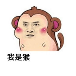 尔康客串各种生肖表情包