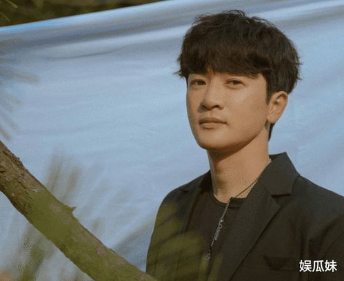苏有朋回应表情撞脸五阿哥,网友哥不收版权费吗四字回应爆笑