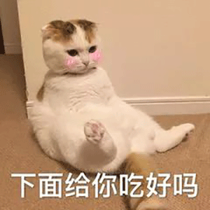 沙雕聊天表情包今天除了皮又啥也没干