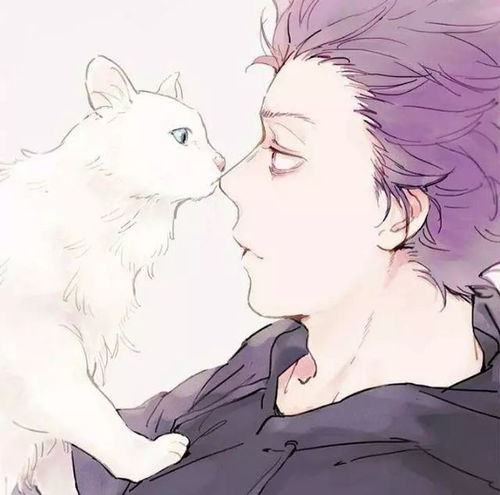 轻抚怀中猫,温柔养猫人动漫手绘养猫男头