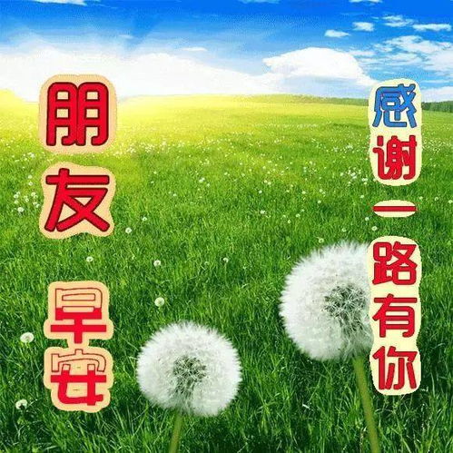 微信搞笑表情早上好