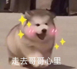 如何让直男一秒心动学会这一招,就够够的了