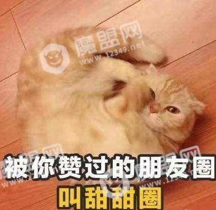 有本事先找到对象什么梗出处视频介绍