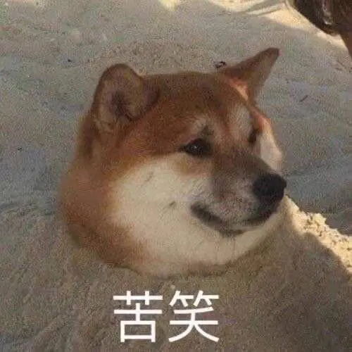 同事们每天都很劲劲的,很优等生