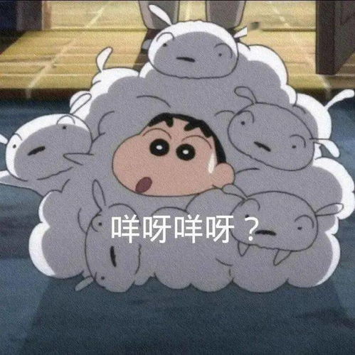 今日份搞笑表情包