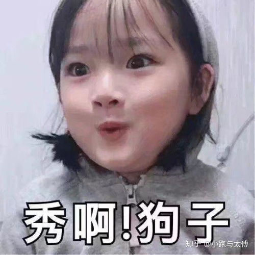 如何变得沙雕有趣