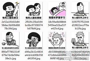 聊天工具最新软件订阅jz5u绿色下载站