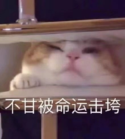 有没有超级适合发朋友圈的搞笑文案语录