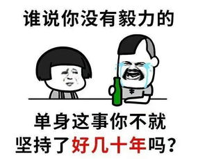 三亚会议谁说爱情不是永恒只是没跟你永恒罢了,跟别人可是白头偕老