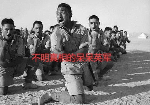 女王的面条,英国科玳发射药为啥长这么怪