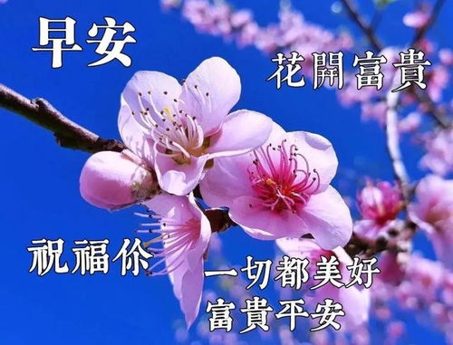 早安祝福语录精选,适合发朋友圈的温馨祝愿