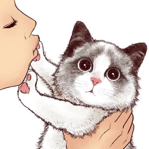 被猫主子拒绝时的你漫画插画