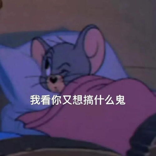 今日实用聊天表情包