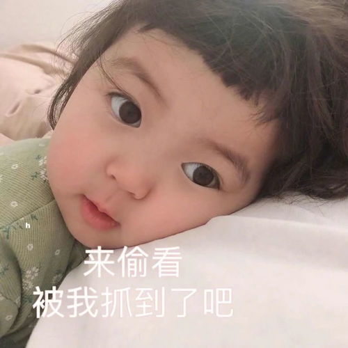 什么风把你吹到我朋友圈了