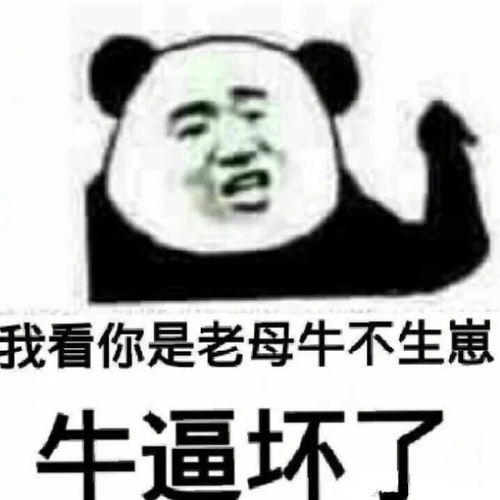表情包整理一波怼人用的表情包