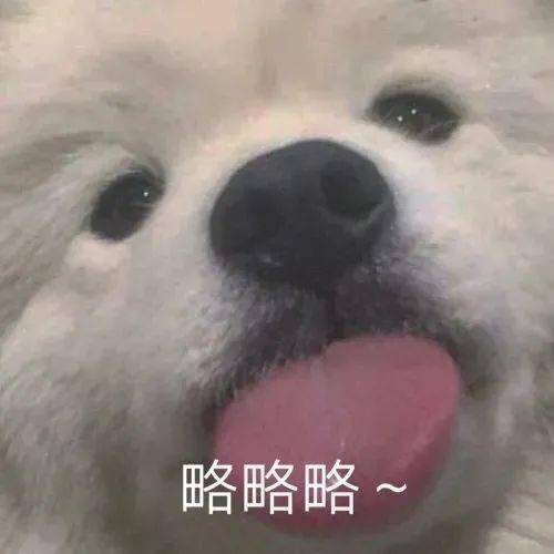 表情包动图可爱沙雕逗比表情包