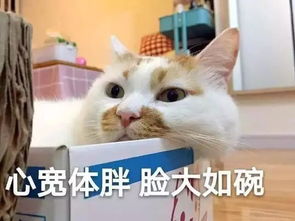 表情包鼓励自己坚持到底的晚安心语,句句高冷有骨气