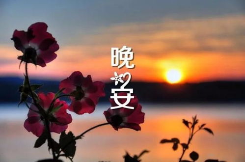晚安唯美窝心的心情说说,句句治愈人心