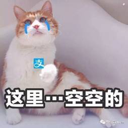 走过最长的路就是马云爸爸的套路