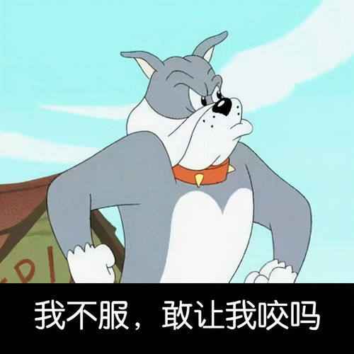 搞笑熊猫头表情包开心一刻