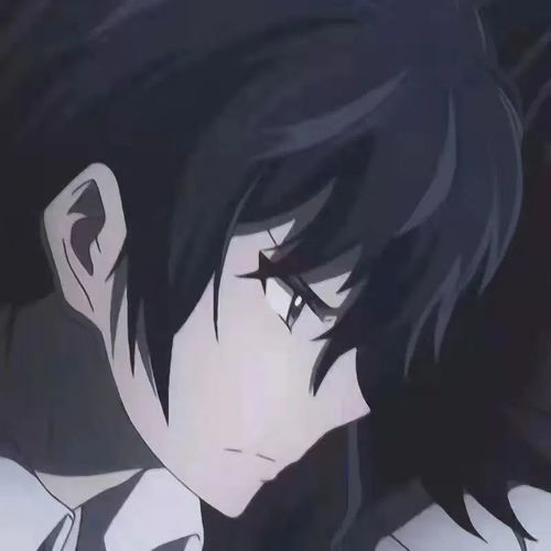 动漫男头我对你没有偏袒的意思,是正儿八经的偏心