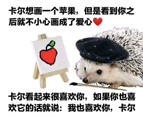 哔哩哔哩专栏