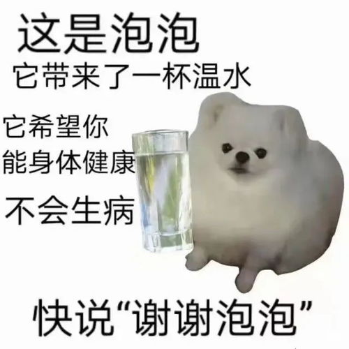 刺猬卡尔表情包谢谢卡尔
