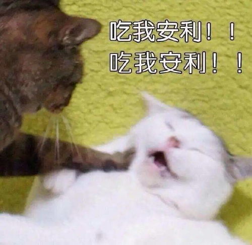 买买买清单我掐指一算,是时候给你们分享好物了