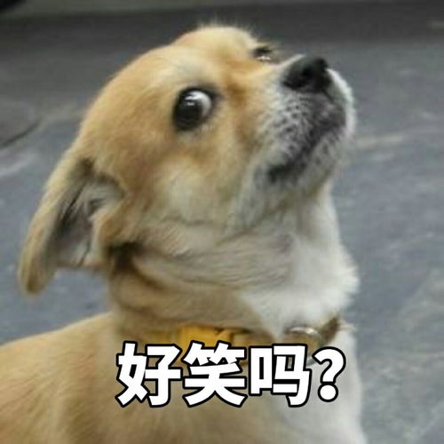 你和王者荣耀的大乔发生了什么有趣的故事