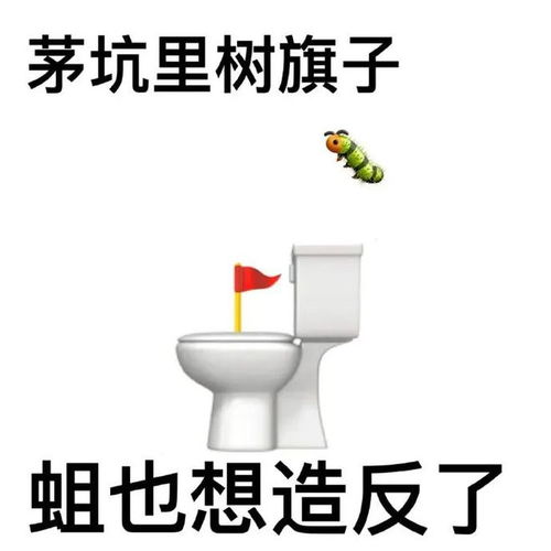 猪鼻子上插大葱,装相超有趣的歇后语表情包集合