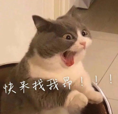 闽理表白墙009期我写给别人的是信,写给你的却是情书匿名