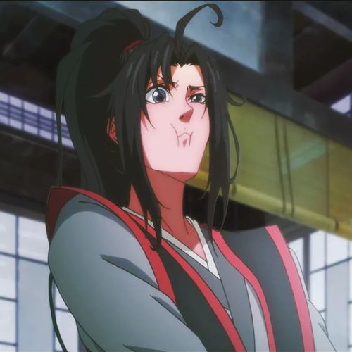 魔道祖师动漫头像魏无羡蓝忘机
