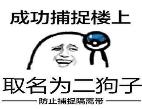 精选热门表情包,不知配不配的上各位沙雕网友